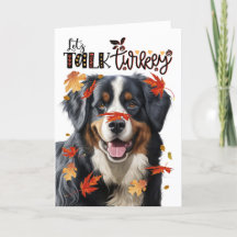 Thanksgiving Bernese Mountain Hund Talk Turkiet