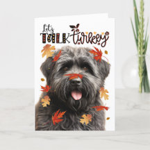 Thanksgiving Bouvier Hund Låt oss tala Turkiet