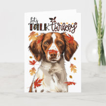 Thanksgiving Bretagne Spanska Hund Lets Tala Turki