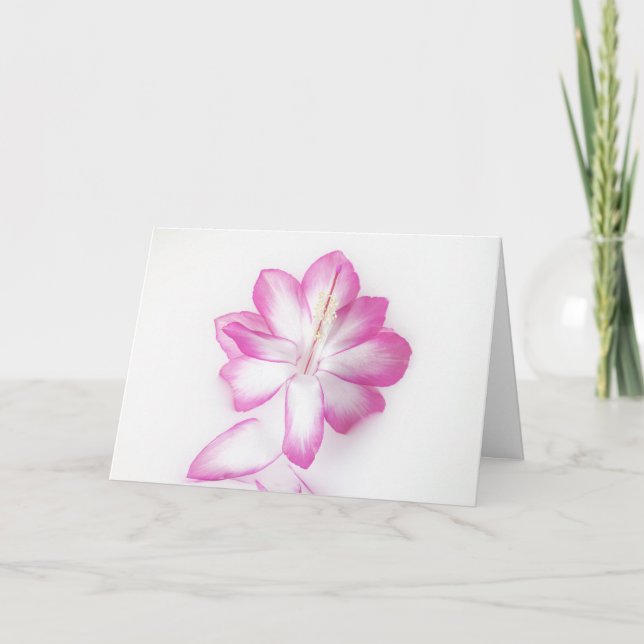 Thanksgiving Cactus Bloom Tack Kort (Framsida)
