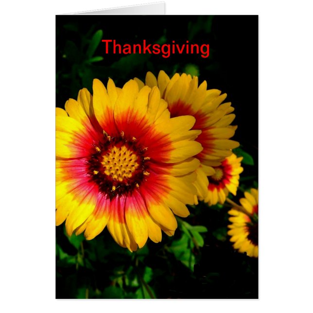 Thanksgiving Card, Cheerful Bright Gula blommor Hälsningskort (Framsidan)