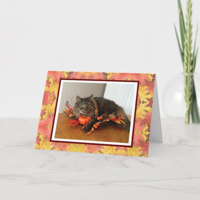 Thanksgiving Card Kattunge med höstträdgård Helgkort (Framsida)
