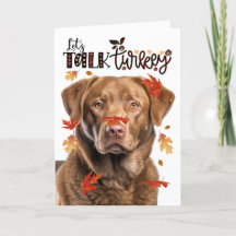 Thanksgiving Chesapeake Bay Hund Låt oss Prata Tur