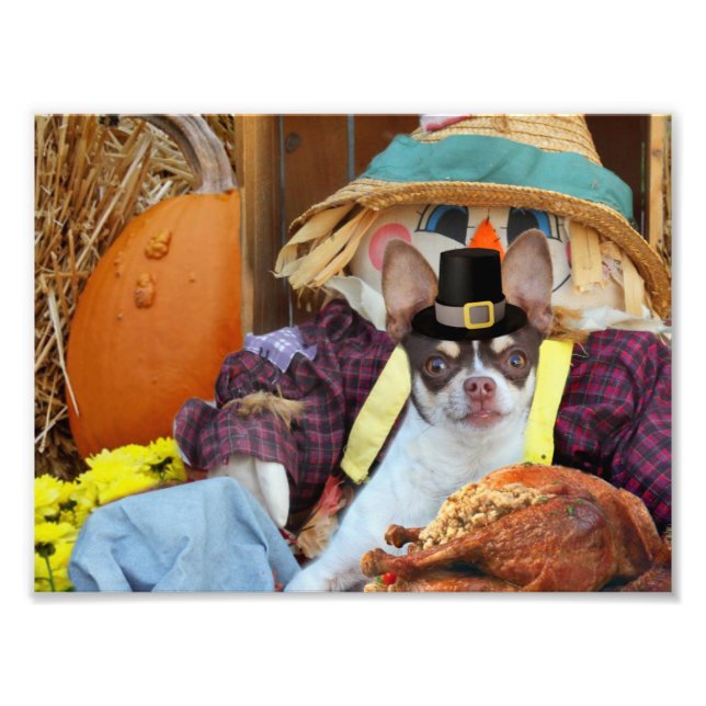 Thanksgiving Chihuahua hund Fototryck (Framsidan)