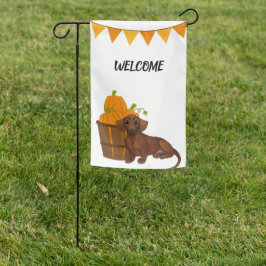Thanksgiving Dachshund