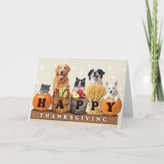 Thanksgiving Dag katt och hundar Helgkort