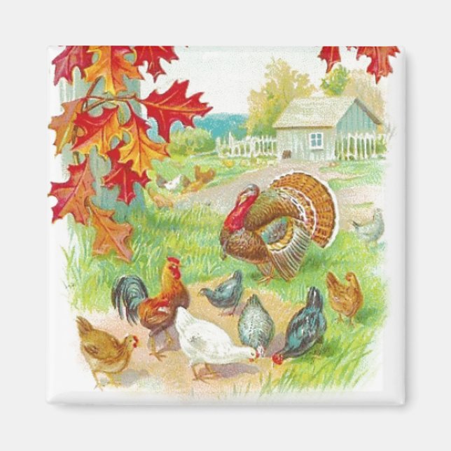 Thanksgiving Dag Magnet (Framsidan)
