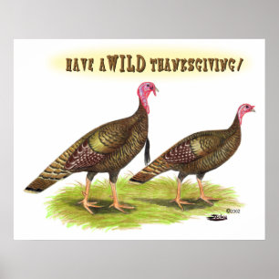 Thanksgiving för kalkonkalkoner i vild poster
