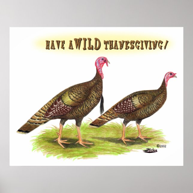 Thanksgiving för kalkonkalkoner i vild poster (Framsidan)