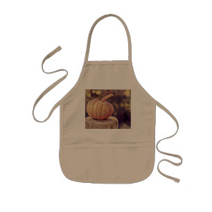 Thanksgiving för orange Fall Pumpkin-Vintage Barnförkläde