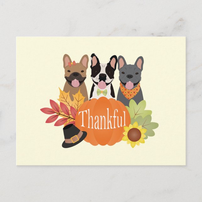 Thanksgiving för tacksamma Franskar Helg Vykort (Framsida)