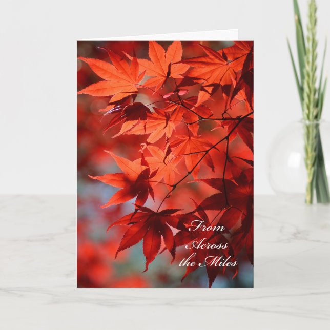 Thanksgiving från andra sidan miles card helgkort (Framsida)