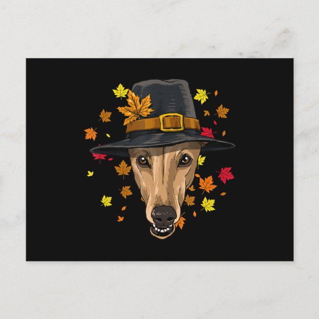 Thanksgiving Greyhound pilgrimskostym män kvinnor Vykort (Framsida)