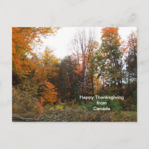 Thanksgiving Hälsning från Kanada-Färger Helg Vykort