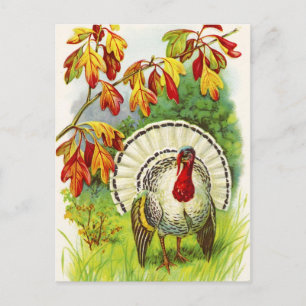 Thanksgiving Hälsning Helg Vykort