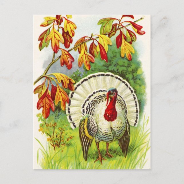 Thanksgiving Hälsning Helg Vykort (Framsida)