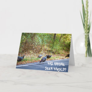 THANKSGIVING, HARGERA TURKIET-KASSAKET HELGKORT