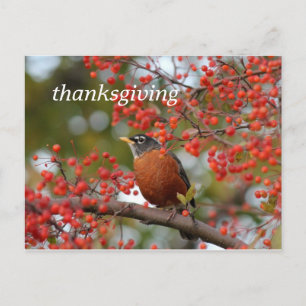 thanksgiving helg vykort