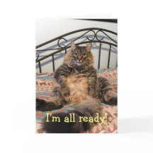 Thanksgiving Hungrigare Kat-Thanksgiving