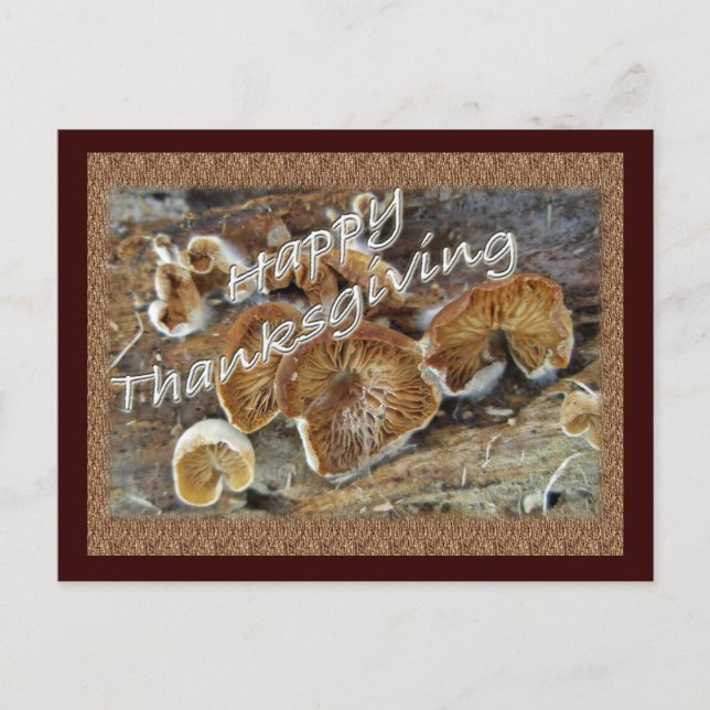 Thanksgiving Insida i svampobjekt Helg Vykort (Framsida)