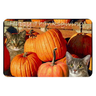 Thanksgiving kattunge och pumpor magnet