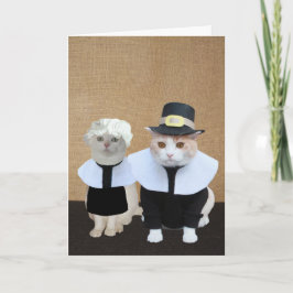 Thanksgiving-kort för befunna Pilgrim Cats Helgkort