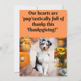 Thanksgiving-kort för Hundar och katter. Julkort