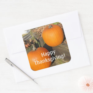 Thanksgiving Land Pumpkins Fyrkantigt Klistermärke