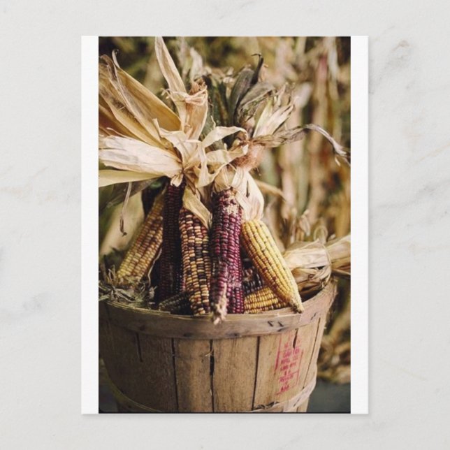 thanksgiving maj helg vykort (Framsida)