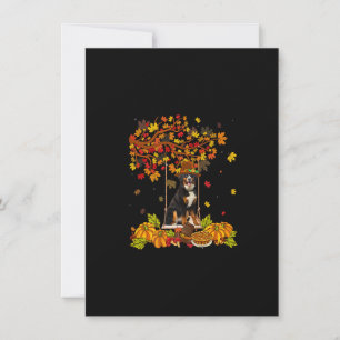 Thanksgiving Maple Pumpkin Bernese Mountain Hund H Inbjudningar