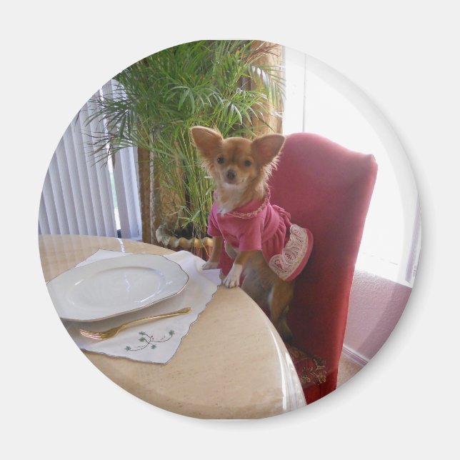 Thanksgiving med chi magnet (Framsidan)