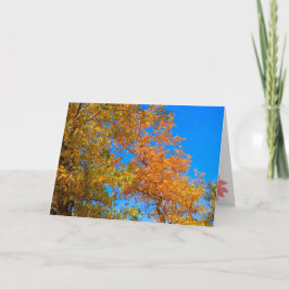 Thanksgiving- och fallkort 2 helgkort