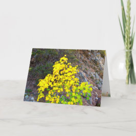 Thanksgiving och visitkort 4 helgkort