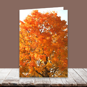 Thanksgiving över Miles Cards Helgkort