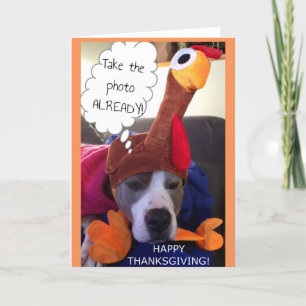 Thanksgiving - Pathetic Pittie Helgkort