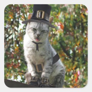 Thanksgiving Pilgrim Cat Fyrkantigt Klistermärke