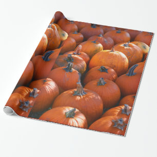 Thanksgiving Pumpkin Patch Presentpapper