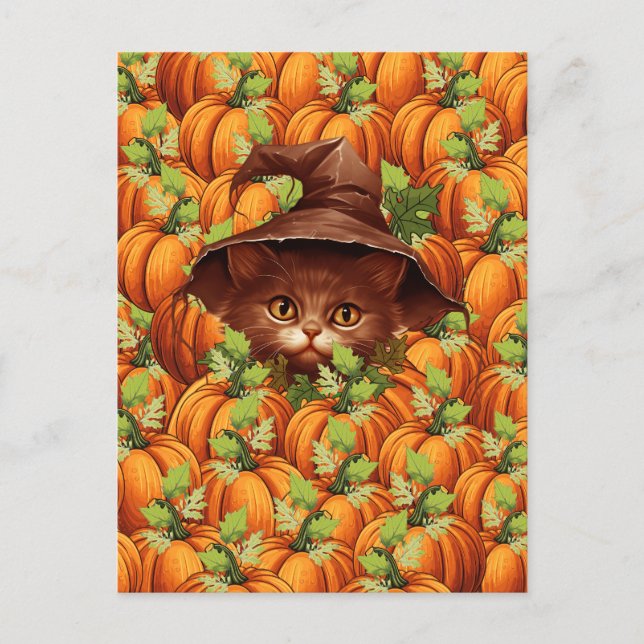 THANKSGIVING PUMPKINS CUTE CAT VYKORT (Framsida)