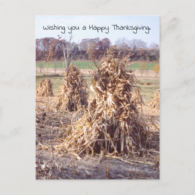 Thanksgiving Retro Autumn Cornstalk Harvest Helg Vykort (Framsida)