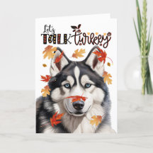 Thanksgiving Siberian husky Hund Lets Prata med Tu