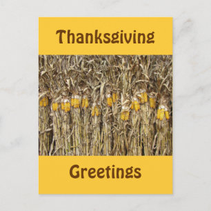 Thanksgiving Torkade Maj Stalk-Dekorationer Helg Vykort