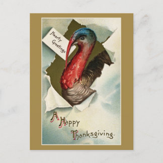Thanksgiving turkey vintage art drawing Vykort