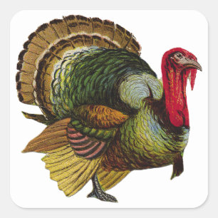 Thanksgiving Turkiet Fyrkantigt Klistermärke