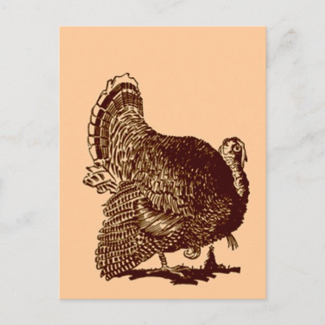 Thanksgiving Turkiet Helg Vykort (Framsida)