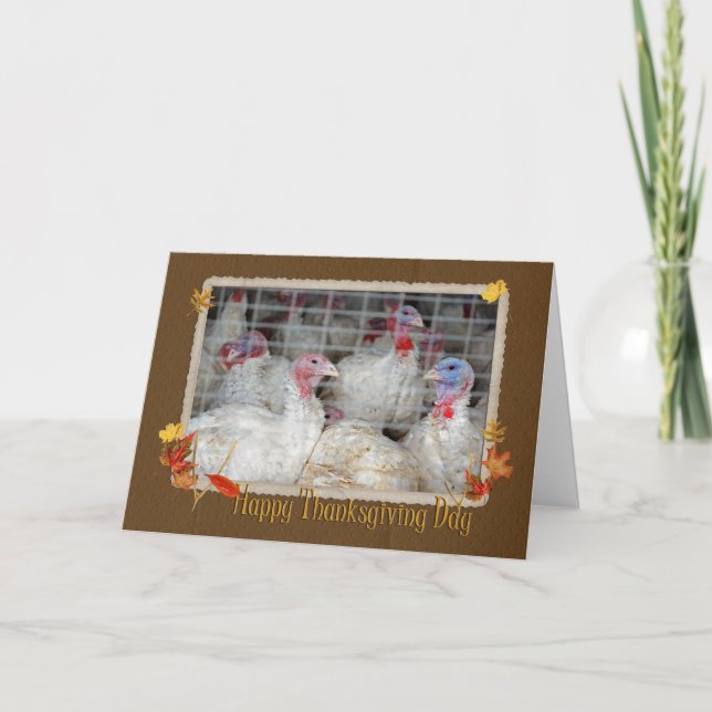 Thanksgiving Turkiet Helgkort (Framsida)