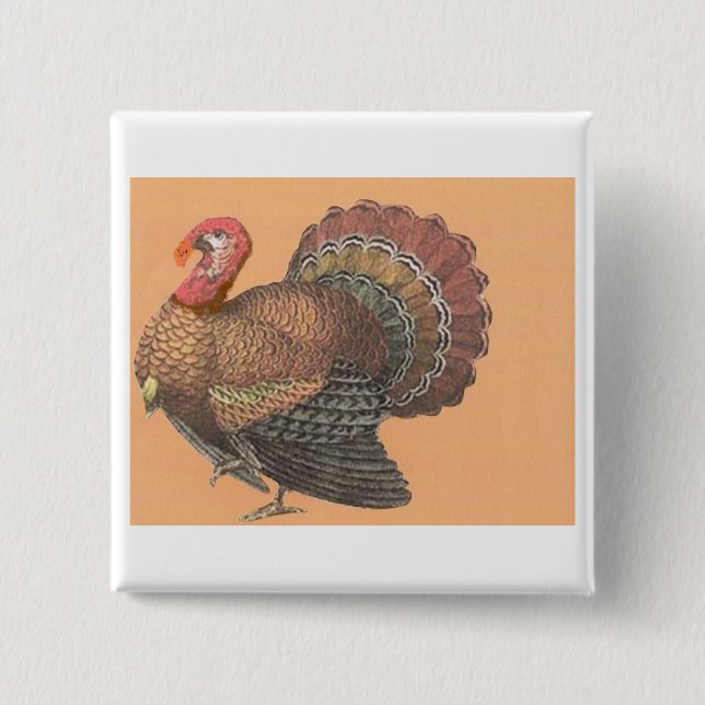 Thanksgiving Turkiet Knapp (Framsida)