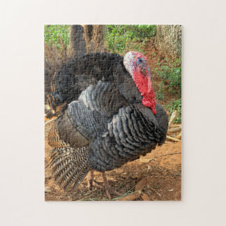 Thanksgiving Turkiet Puzzle Pussel