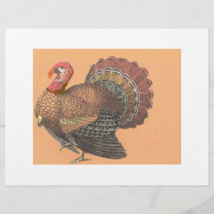 Thanksgiving Turkiet Reklamblad