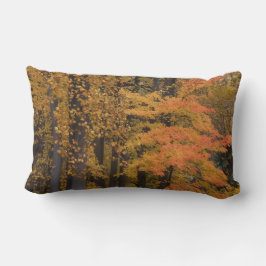Thanksgiving Turkiet Reversible Pillow Höst löv Lumbarkudde