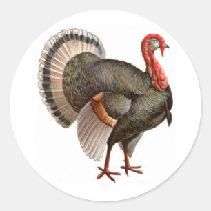 THANKSGIVING TURKIET RUNT KLISTERMÄRKE